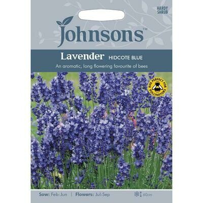 Lavender Hidcote Blue
