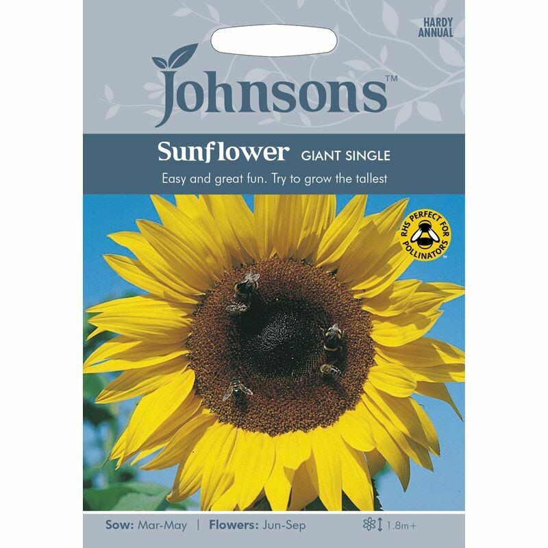 Sunflower Giant Single