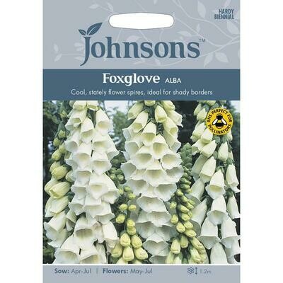 Foxglove Alba