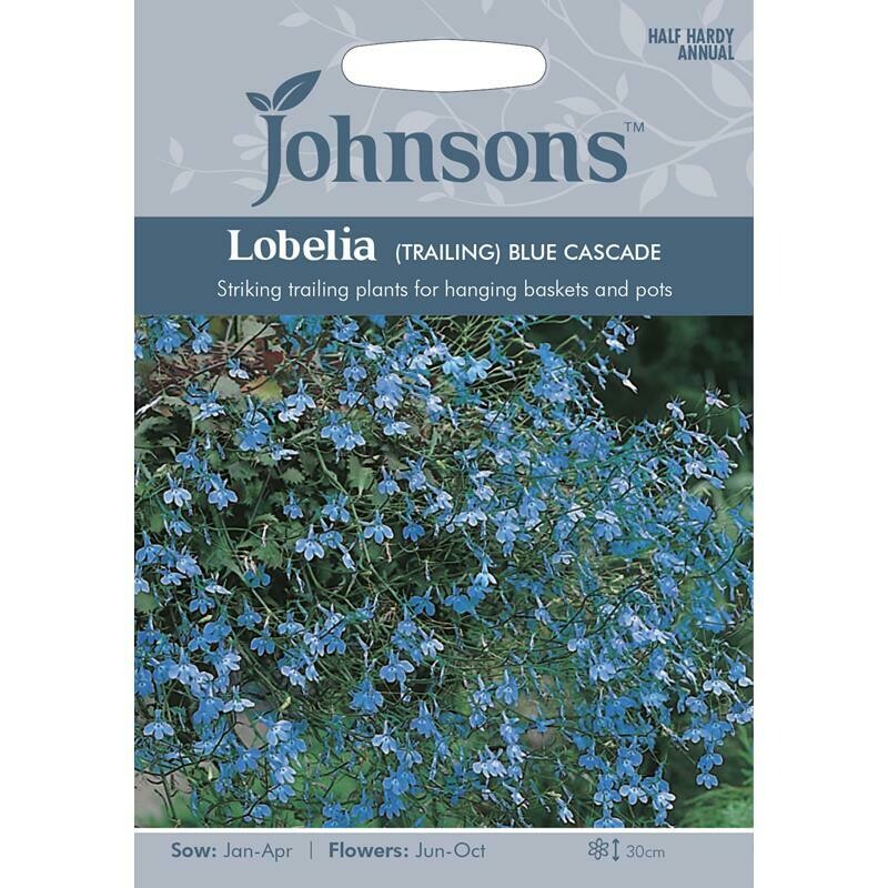 Lobelia (Trailing) Blue Cascade
