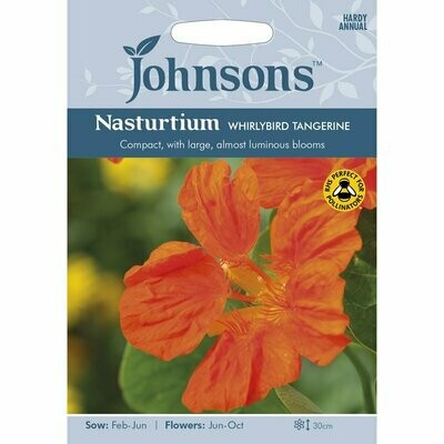 Nasturtium Whirlybird Tangerine