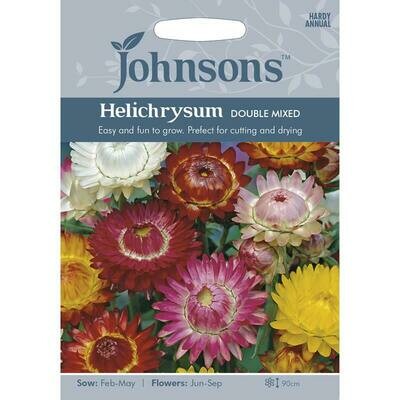 Helichrysum Double Mixed