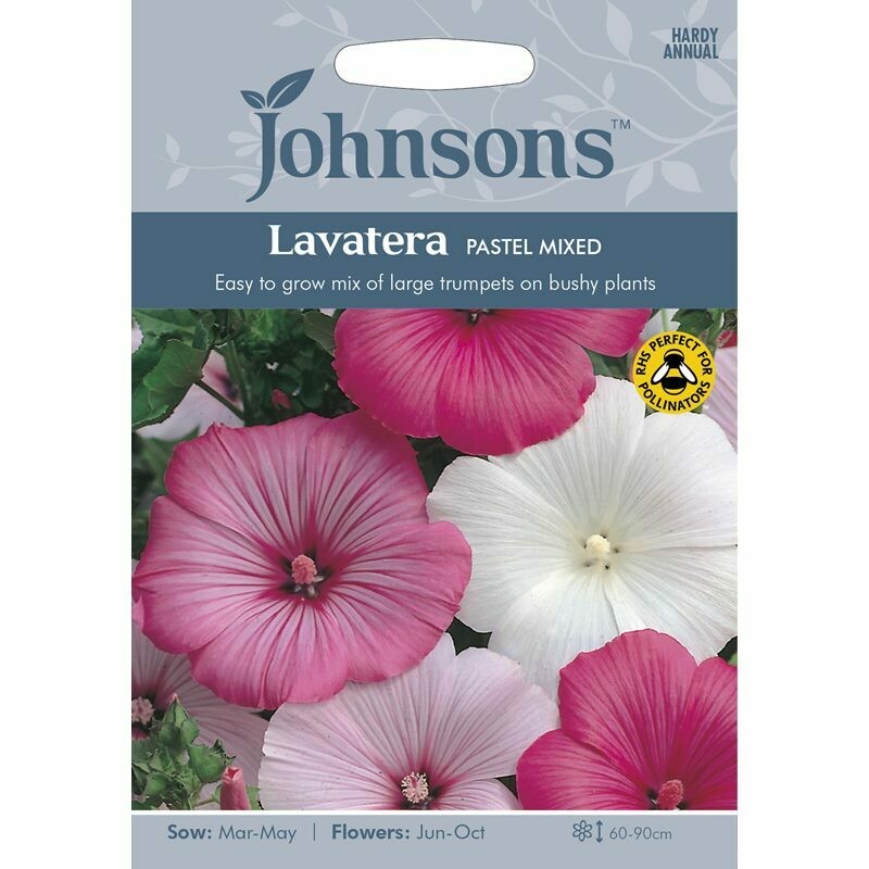 Lavatera Pastel Mixed