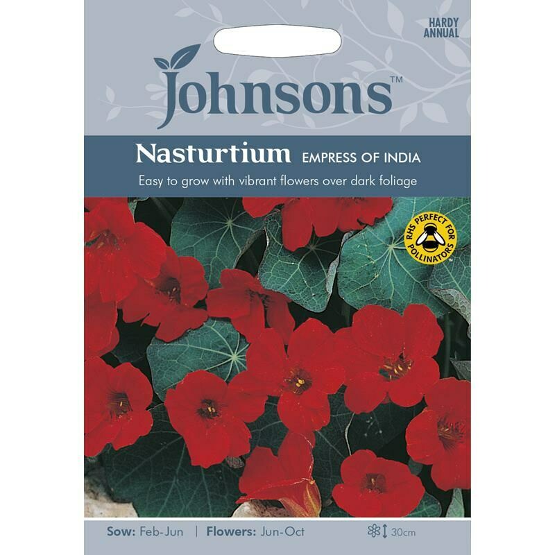 Nasturtium Empress Of India