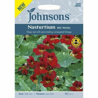 Nasturtium Red Troika