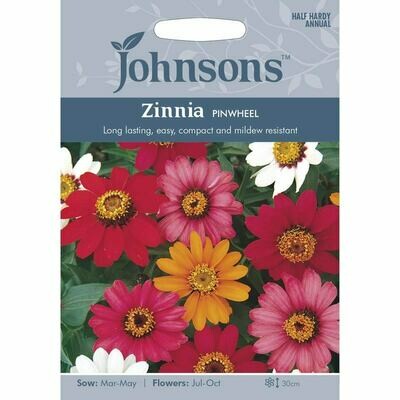 Zinnia Pinwheel