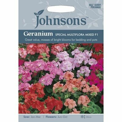 Geranium Special Multiflora Mixed F1