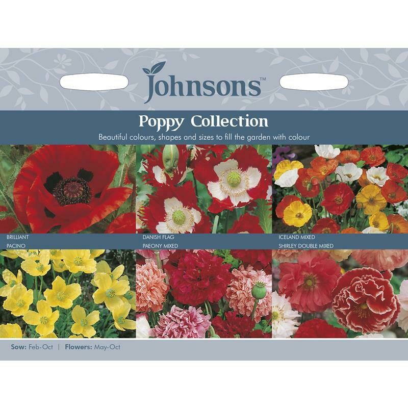 Poppy Collection