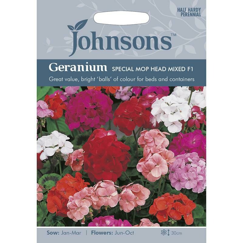 Geranium Special Mop Head Mixed F1