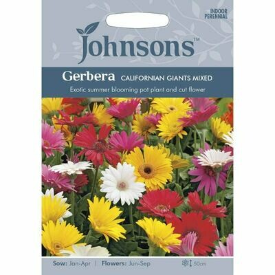 Gerbera Californian Giants Mixed