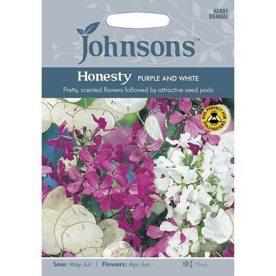 Honesty Purple &amp; White