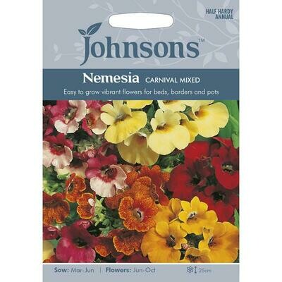 Nemesia Carnival Mixed