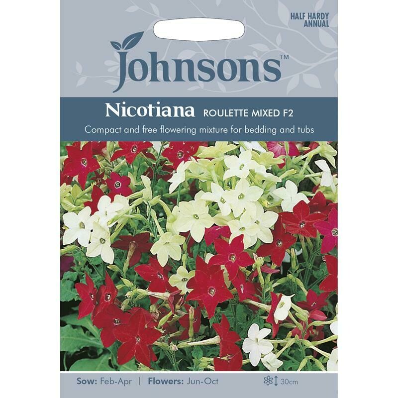 Nicotiana Roulette Mixed F2