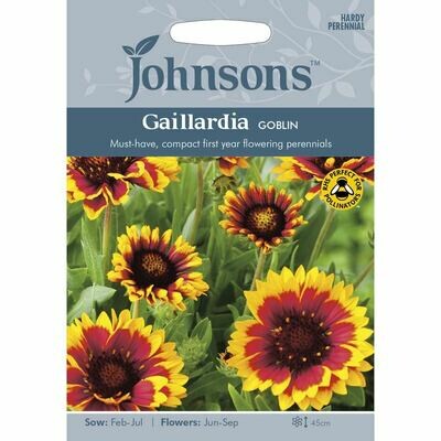 Gaillardia Goblin