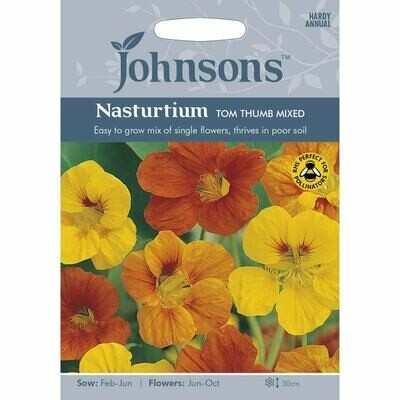 Nasturtium Tom Thumb Mixed