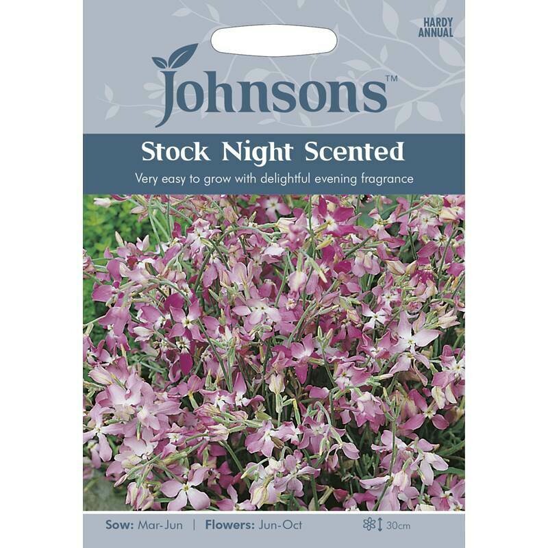 Stock Night Scented