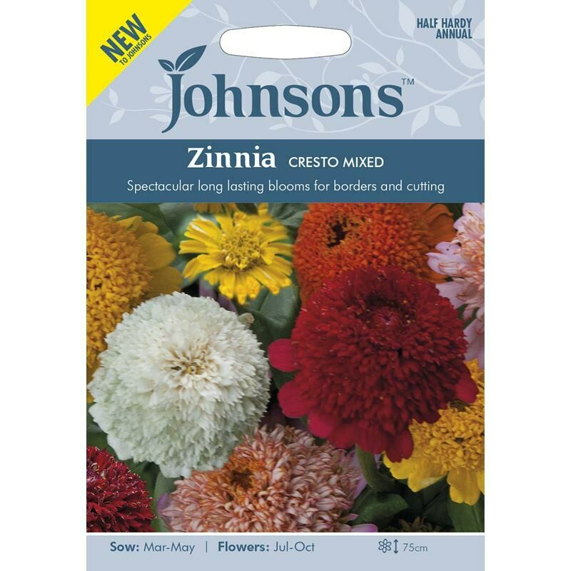 Zinnia Cresto Mixed