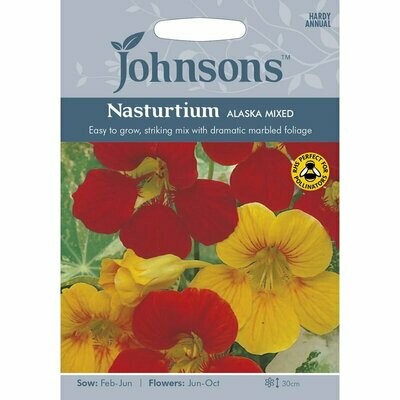 Nasturtium Alaskan Mixed