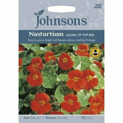 Nasturtium Alaska Tip Top Red