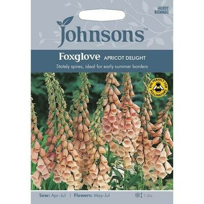 Foxglove Apricot Delight