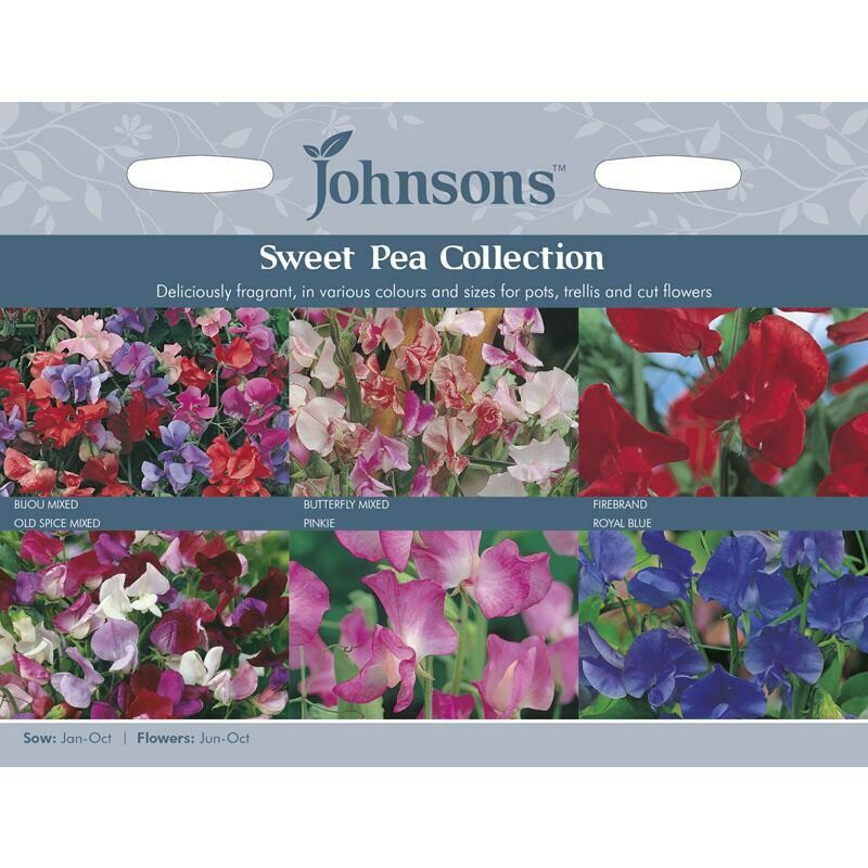 Sweet Pea Collection
