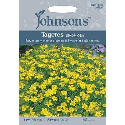 Tagetes Lemon Gem
