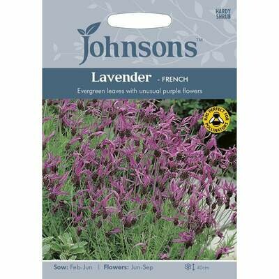 Lavender French