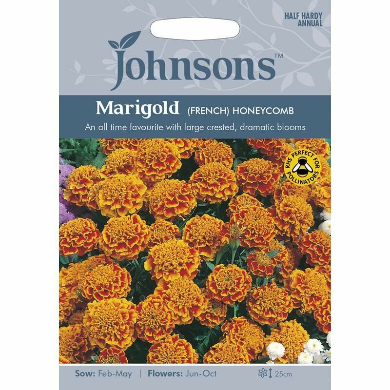 Marigold (French) Honeycomb