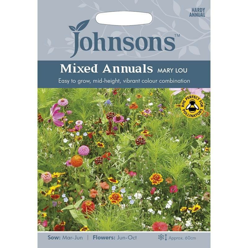 Mixed Annuals Mary Lou