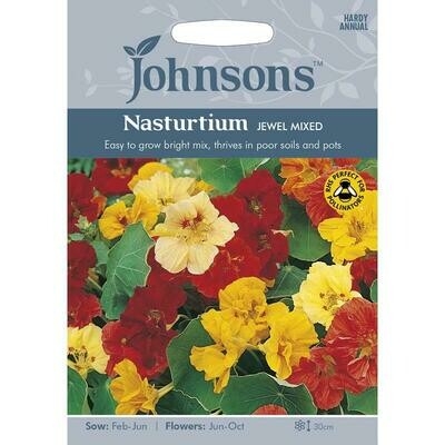 Nasturtium Jewel Mixed