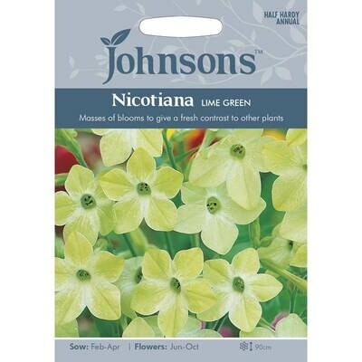 Nicotiana Lime Green