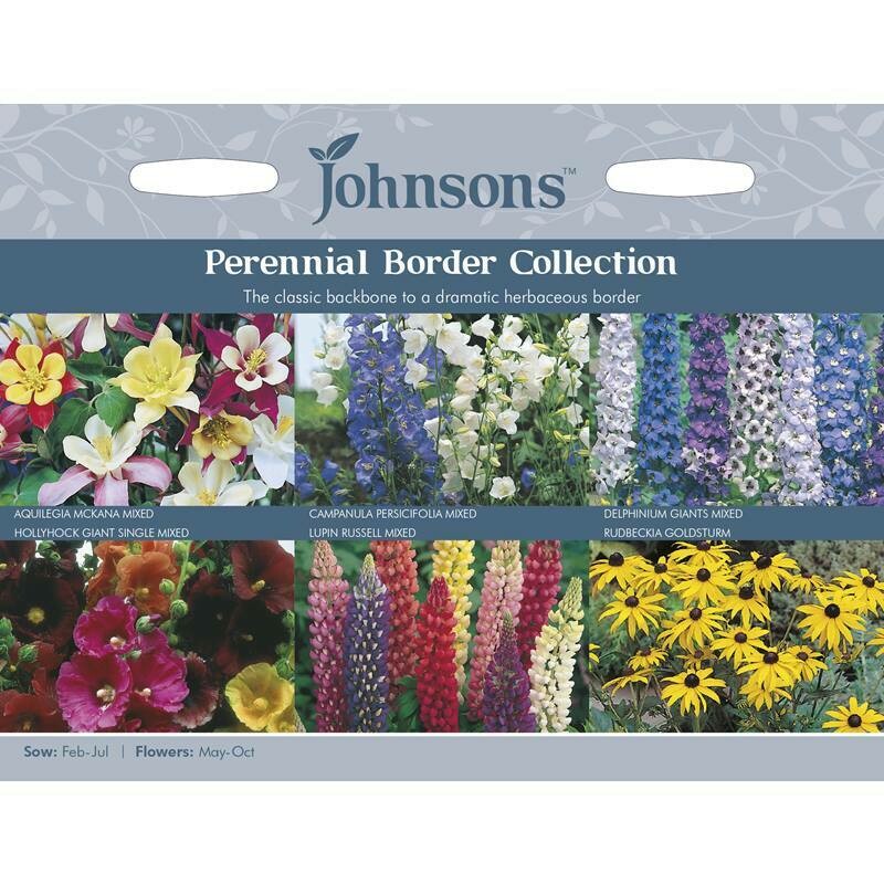 Perennial Border Collection