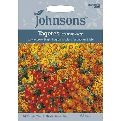 Tagetes Starfire Mixed