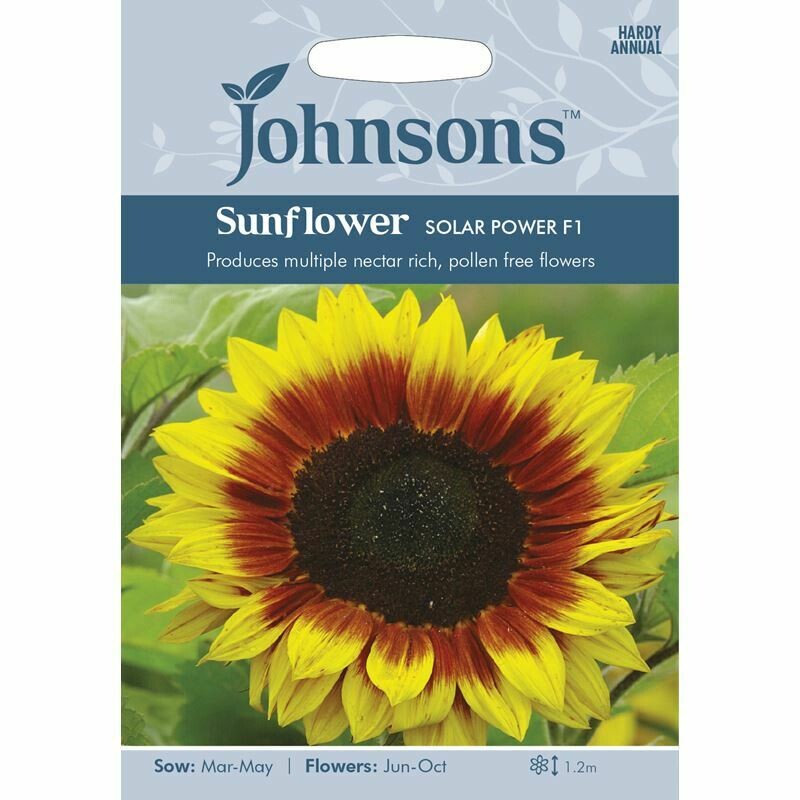 Sunflower Solar Power F1