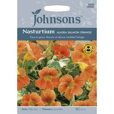 Nasturtium Alaska Salmon Orange