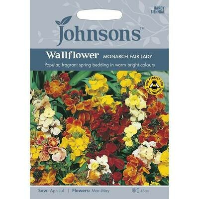 Wallflower Monarch Fair Lady