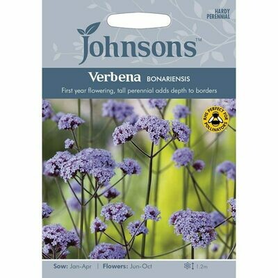 Verbena Bonariensis