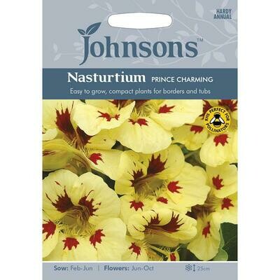 Nasturtium Prince Charming