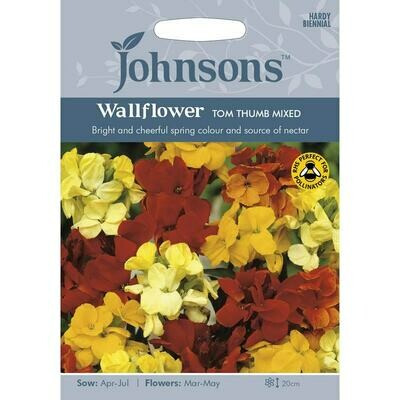 Wallflower Tom Thumb Mixed