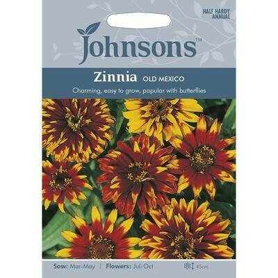 Zinnia Old Mexico