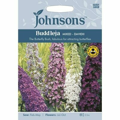 Buddleja Davidii Mixed
