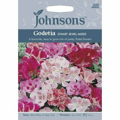 Godetia Dwarf Jewel Mixed