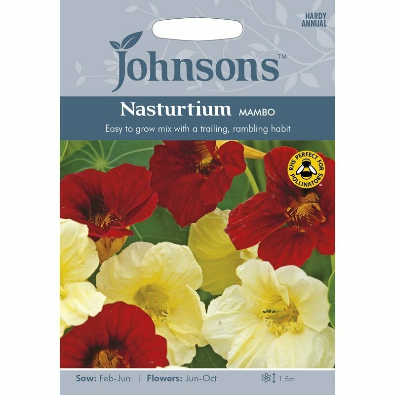 Nasturtium Mambo