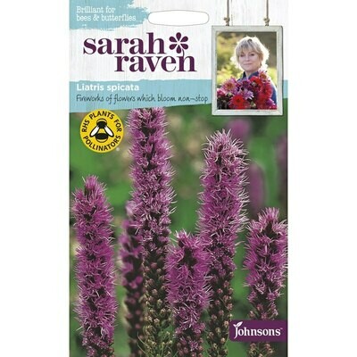 Sarah Raven Liatris Spicata