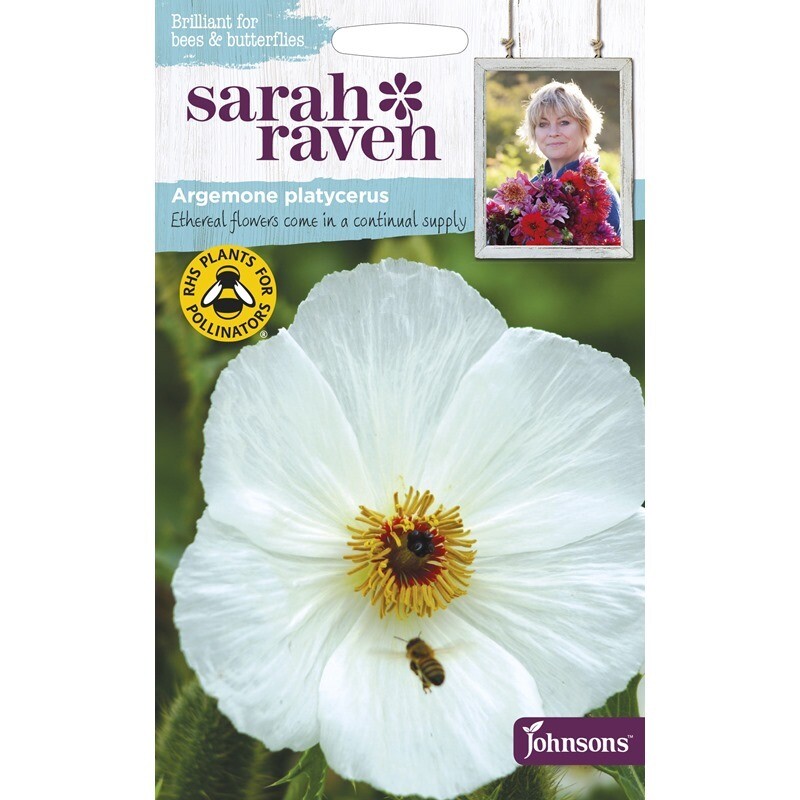 Sarah Raven Argemone Platycerus Prickly Poppy