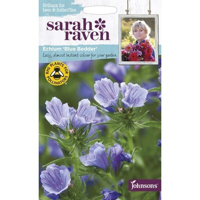 Sarah Raven Echium Blue Bedder