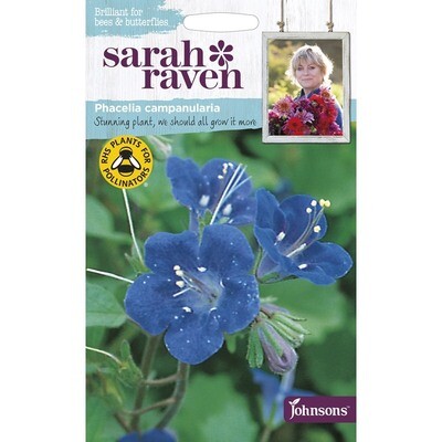 Sarah Raven Phacelia Campanularia