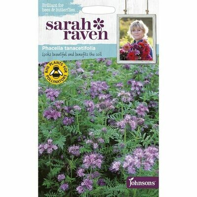 Sarah Raven Phacelia Tanacetifolia
