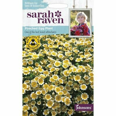 Sarah Raven Poached Egg Plant