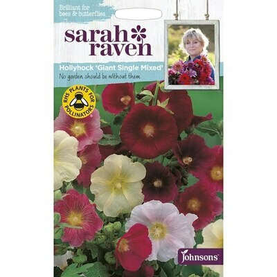 Sarah Raven Hollyhock Giant Single Mixed